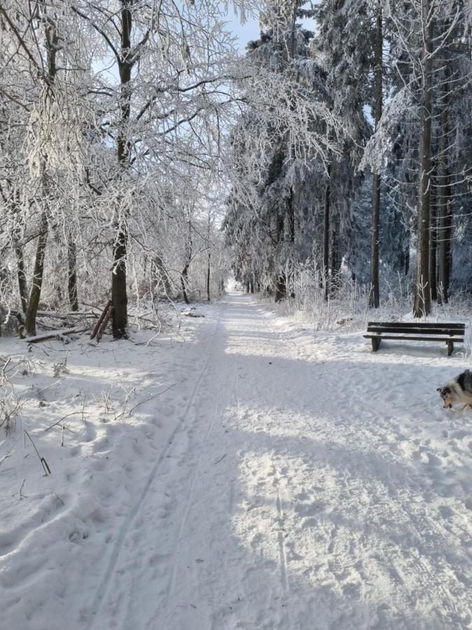 Ferienwohnung Schanzenblick Winterberg Luaran gambar